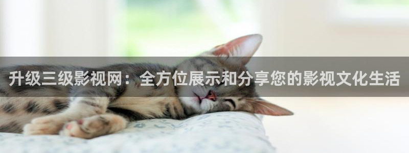 caoporen超碰在线：升级三级影视网：全方位展示和分享您的影视文化生活
