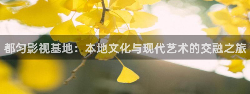 超碰在线9：都匀影视基地：本地文化与现代艺术的交融之旅