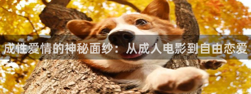 超碰在线国产视频：成性爱情的神秘面纱：从成人电影到自由恋爱